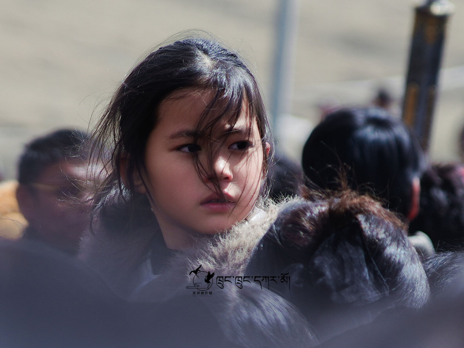 风里的少女